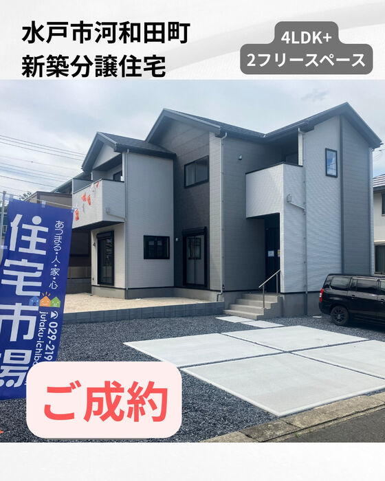 画像2042
