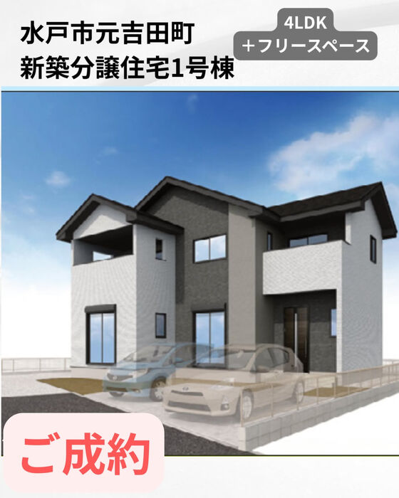 画像2557