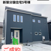 画像2634