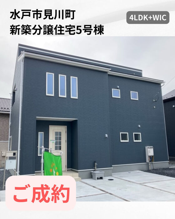 画像2634
