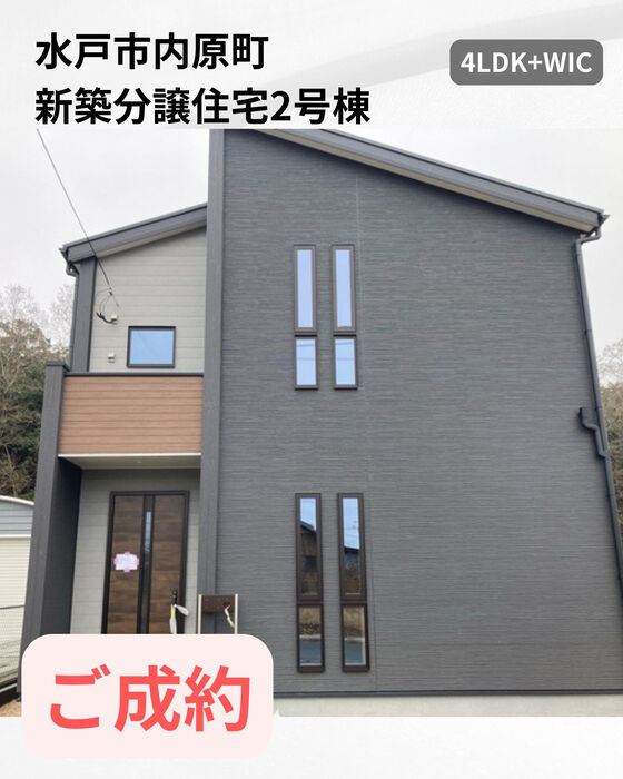 画像2648
