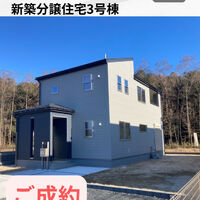 画像2662