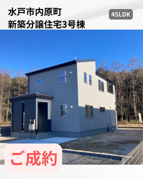 画像2662