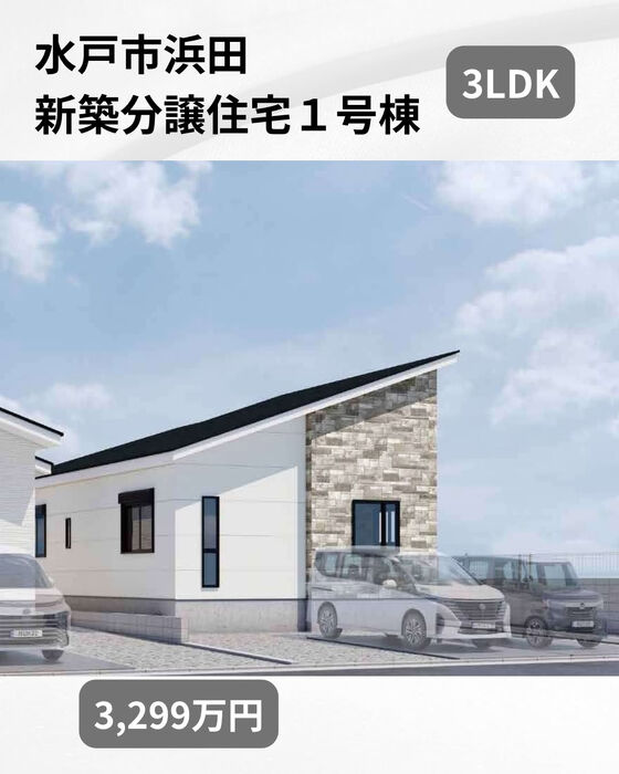 画像2749