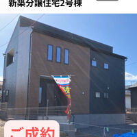 画像2844