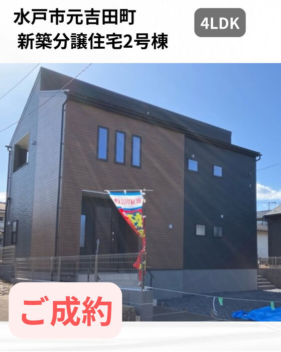 画像2844