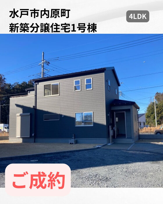 画像3037