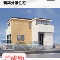 画像3065