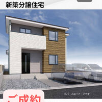 画像3067