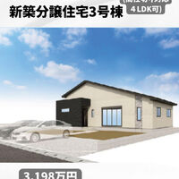 画像3252
