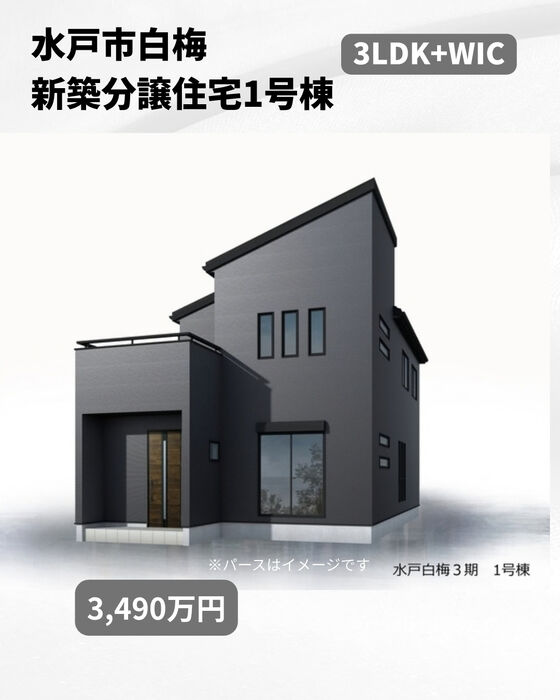 画像3274