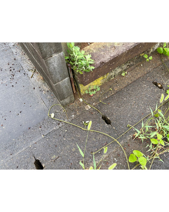 画像3478