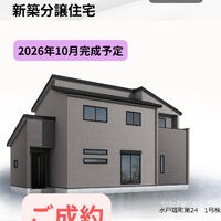 画像3488
